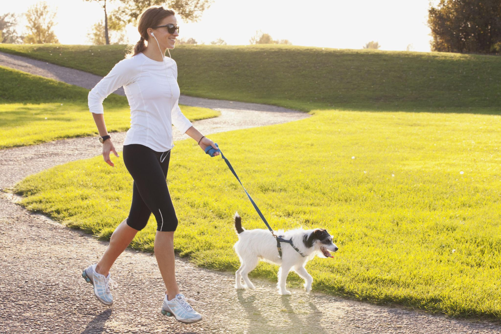 Health benefits of pet owning