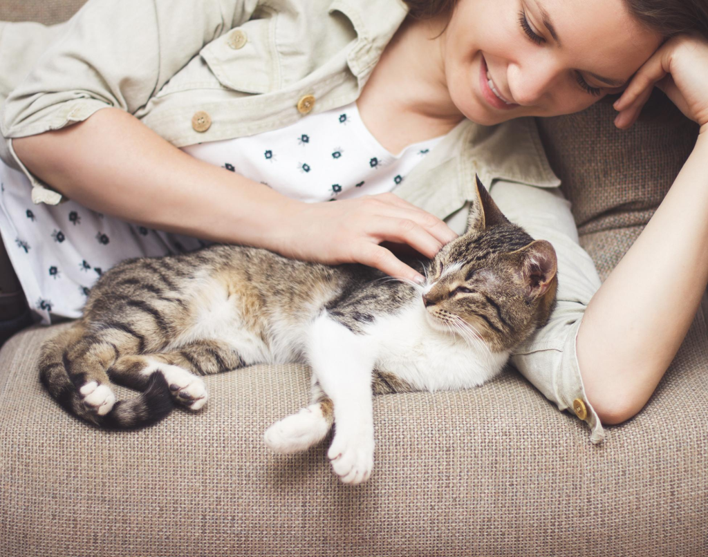 Health benefits of pet owning