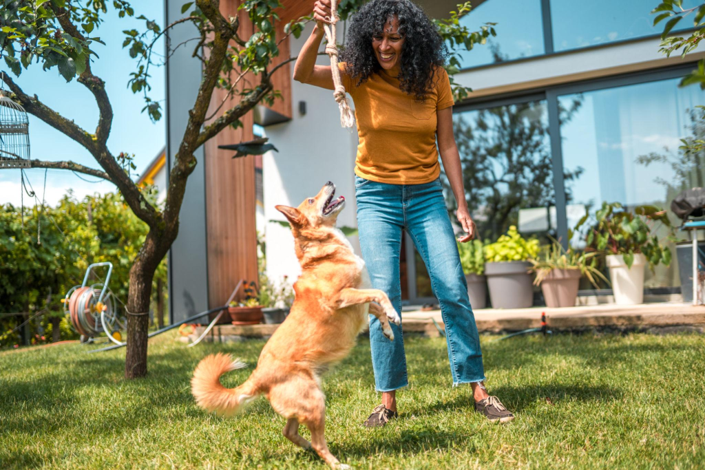 Health Benefits of pet owning
